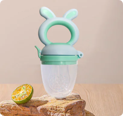 Baby Fruit and Vegetable Food Feeder Pacifier